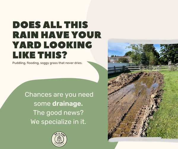 Suffolk County Drainage Services